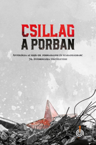 Csillag a porban könyv