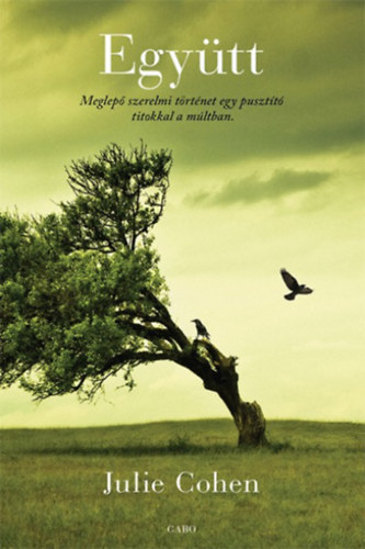 Cohen, Julie: Együtt antikvár