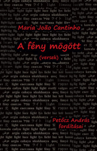 Maria Joao Cantinho: A fény mögött könyv