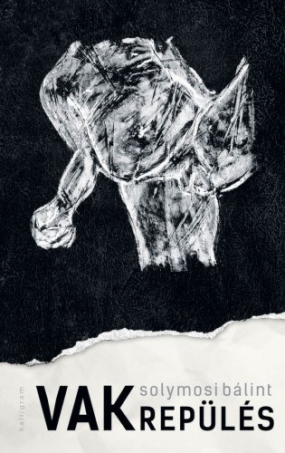 Solymosi Bálint: Vakrepülés e-Könyv