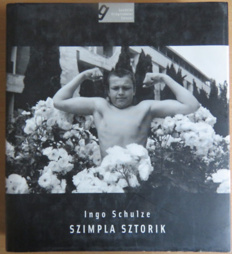 Ingo Schulze: Szimpla sztorik antikvár