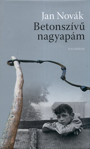 Jan Novák: Betonszívű nagyapám antikvár