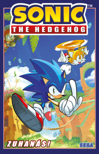 Ian Flinn: Sonic the Hedgehog 1. - Zuhanás könyv