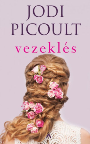 Jodi Picoult: Vezeklés könyv