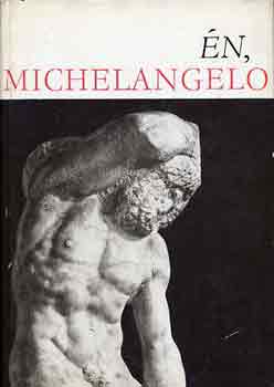 Michelangelo: Én, Michelangelo antikvár