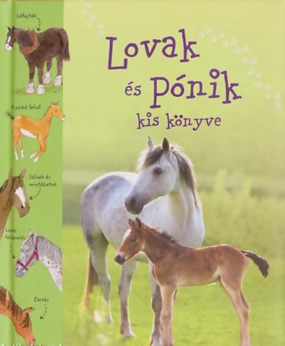 Sarah Khan: Lovak és pónik kis könyve antikvár