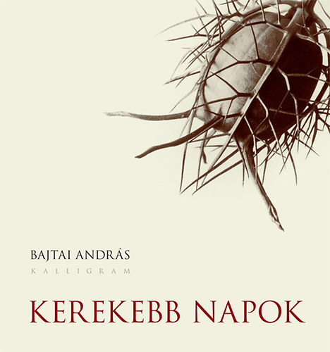 Bajtai András: Kerekebb napok antikvár