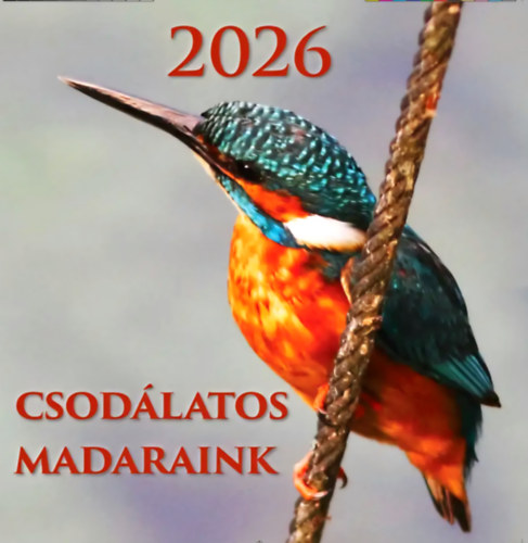 Csodálatos Madaraink 2026. naptár - 19x19 cm naptár
