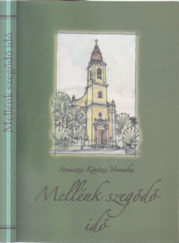 Strauszné Könözsi Veronika: Mellénk szegődő idő antikvár