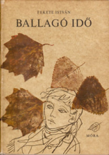 Fekete István: Ballagó idő (Fekete István Művei) antikvár
