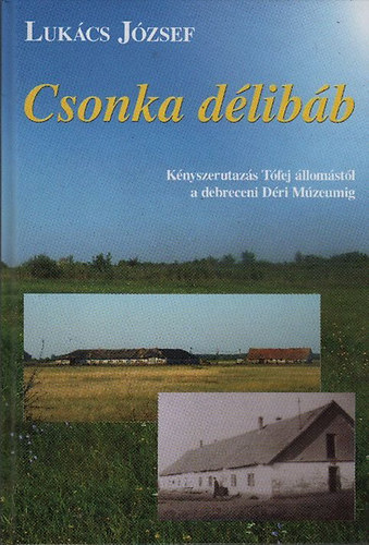 Lukács József: Csonka délibáb- Kényszerutazás Tófej állomástól a debreceni Déri Múzeumig antikvár