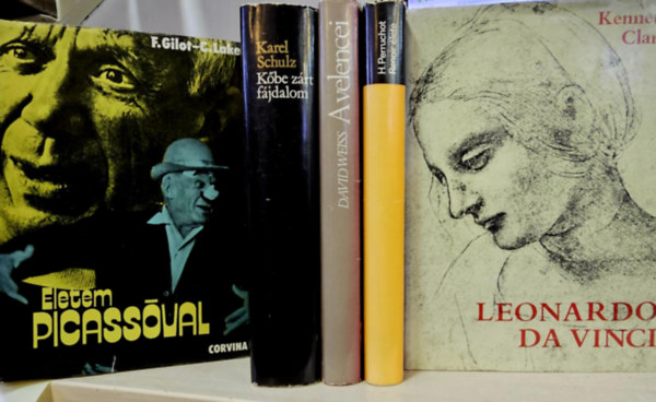 Gilot, F.-Lake, C., Karel Schulz, David Weiss, Henri Perruchot, Kenneth Clark: 5db művészeti kötet, KÖNYVMENTŐ AJÁNLAT: Életem Picassóval+ Kőbe zárt fájdalom+ A velencei+ Renoir élete+ Leonardo da Vinci antikvár