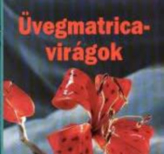 Színes ötletek 5db.:Üvegmatrica-virágok + Díszítés bársonyporral + Varázslatos üvegek + Fakanálfigurák + Karácsonyi papírcsillagok antikvár