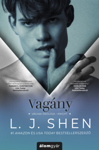 L.J. Shen: Vagány könyv