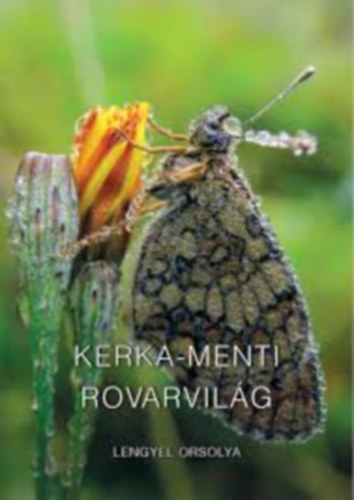 Lengyel Orsolya: Kerka-menti rovarvilág antikvár