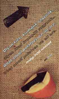 Salamon Gábor-Zalotay Melinda: Olyan kicsi krumplik vagyunk... még 500 idézet antikvár