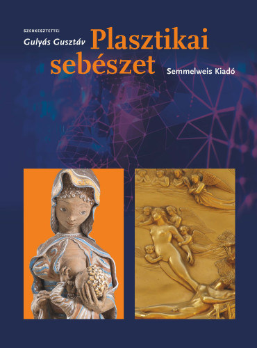 Prof. Dr. Gulyás Gusztáv: Plasztikai sebészet antikvár
