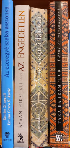 Tara Bahrampour, Jean Sasson, Ayaan Hirsi Ali, Denise Zintgraff, Emina Cevro Vukovic: 4 db valós történet – női sorsok: Látni és visszatérni; A hercegnő lányai; Az engedetlen; Az ezeregyéjszaka asszonyai antikvár