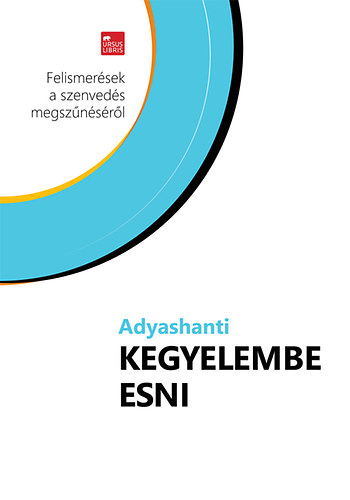 Adyashanti: Kegyelembe esni könyv