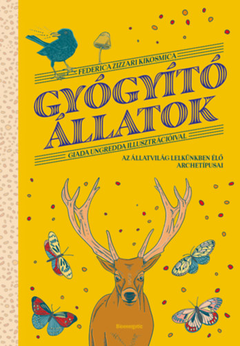 Federica Zizzari Kikosmica: Gyógyító állatok könyv