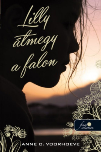 Anne-Charlotte Voorhoeve: Lilly átmegy a falon antikvár
