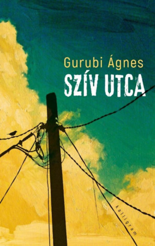 Gurubi Ágnes: Szív utca könyv