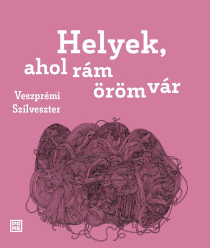 Veszprémi Szilveszter: Helyek, ahol rám öröm vár könyv