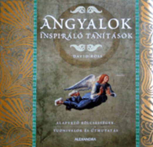 David Ross: Angyalok - Inspiráló tanítások antikvár