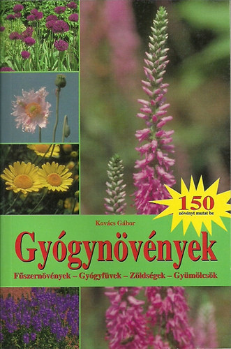 Kovács Gábor: Gyógynövények - Fűszernövények - Gyógyfüvek - Zöldségek - Gyümölcsök antikvár