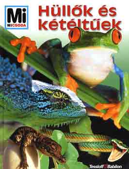 Niekisch, Manfred: Hüllők és kétéltűek könyv
