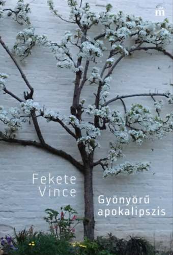 Gyönyörű apokalipszis akciós termékkép 1