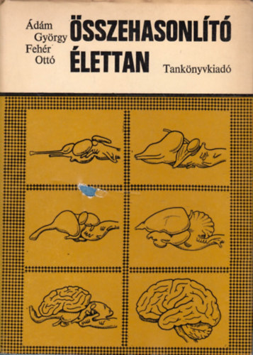 Ádám György-Fehér Ottó: Összehasonlító élettan antikvár