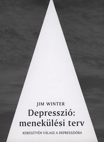 Jim Winter: Depresszió: menekülési terv antikvár