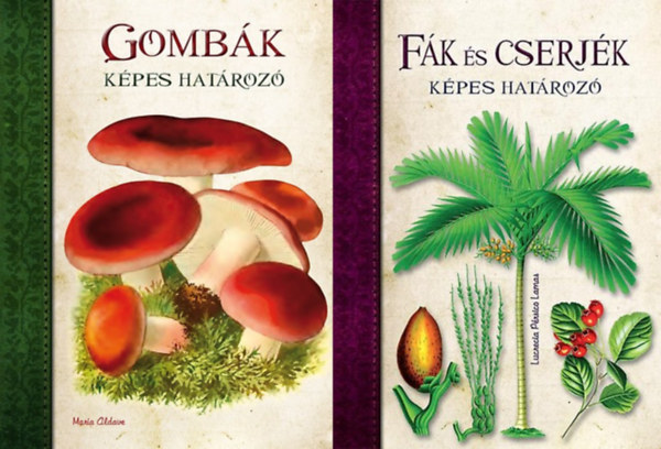 María Aldave, Lucrecia Pérsico Lamas: 2 db köny a Képes határozók sorozatból: Gombák - Képes határozó + Fák és cserjék - Képes határozó antikvár