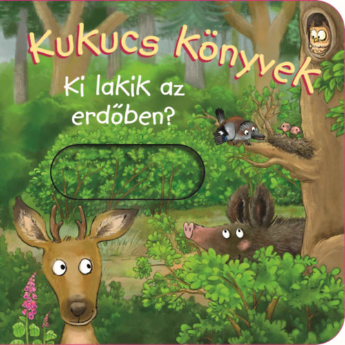 Kukucs könyvek - Ki lakik az erdőben? könyv