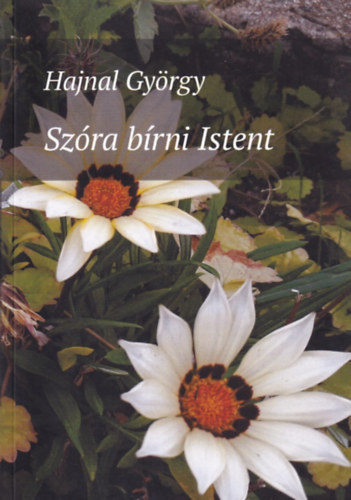 Hajnal György: Szóra bírni Istent antikvár