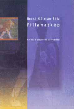 Borsi-Kálmán Béla: Pillanatkép antikvár