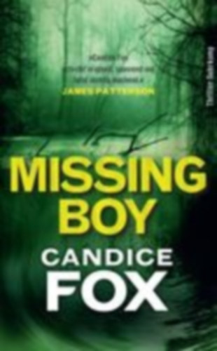 Fox, Candice: Missing Boy idegen