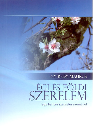 Nyiredy Maurus: Égi  és földi szerelem antikvár