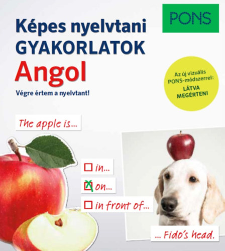 Tim Cater, Samuel Hemingway: PONS Képes nyelvtani gyakorlatok - Angol antikvár