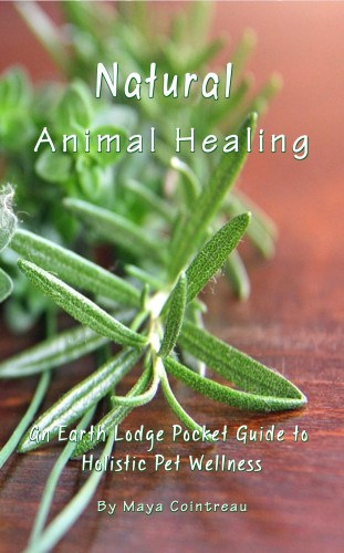 Maya Cointreau: Natural Animal Healing - An Earth Lodge Pocket Guide to Holistic Pet Wellness e-Könyv