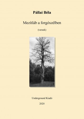 Pállai Béla: Mezítláb a kertben e-Könyv