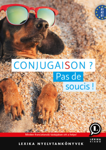 Conjugaison - Pas de soucis! akciós termékkép 1