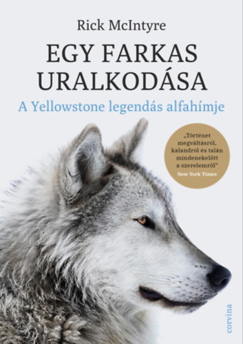 Rick McIntyre: Egy farkas uralkodása - A Yellowstone legendás alfa-hímje e-Könyv
