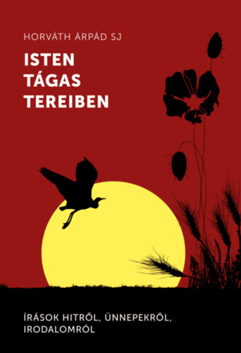 Horváth Árpád: Isten tágas tereiben könyv