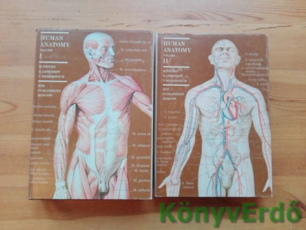 M. Prives - N. Lysenkov - V. Bushkovich: Human Anatomy I-II. (angol nyelvű anatómia könyvek) antikvár