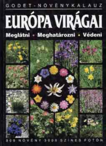 Szerző Jean-Denis Godet Szerkesztő Karádi Ilona Fordító Dr. Reményi K. András Lektor Dr. Horánszky András: Európa virágai - Meglátni, Meghatározni, Védeni - Godet-növénykalauz. 800 növény 3000 színes fotón/Lágyszárúak antikvár