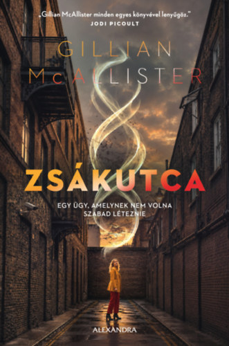 Gillian McAllister: Zsákutca e-Könyv