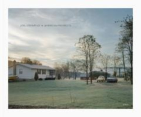 Sternfeld, Joel: Sternfeld, J: American Prospects (2023) idegen