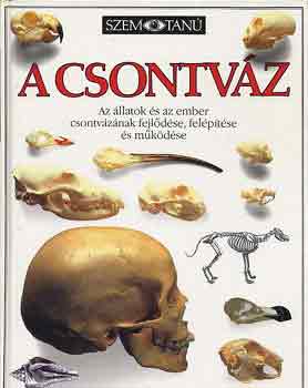 Steve Parker: A csontváz (Szemtanú) antikvár